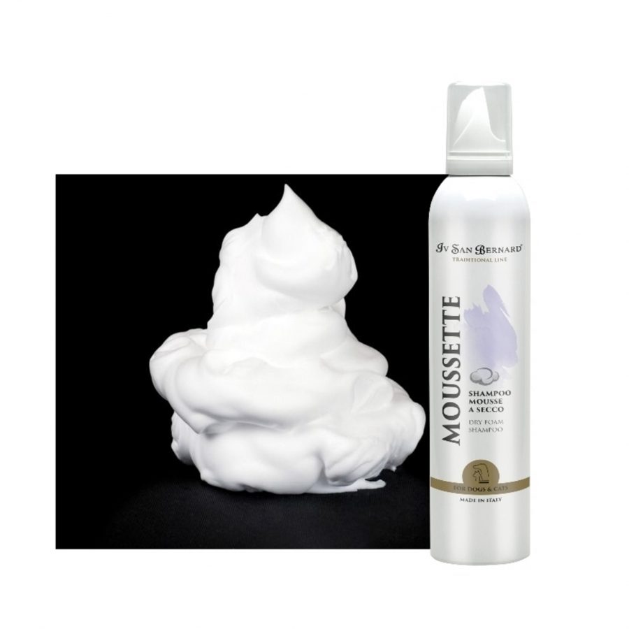 Suhi_šampon_pena_iv_san_bernard