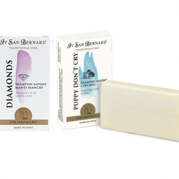 trdo_milo_iv_san_bernard02